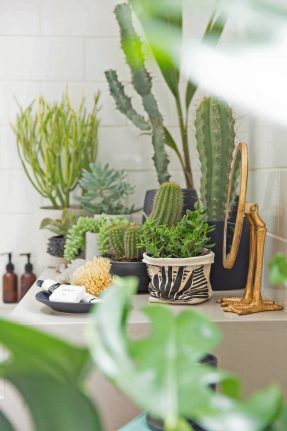 Le fil vert en décoration d'intérieur || Un jardin d'intérieur dans sa salle de bain par honestlywtf