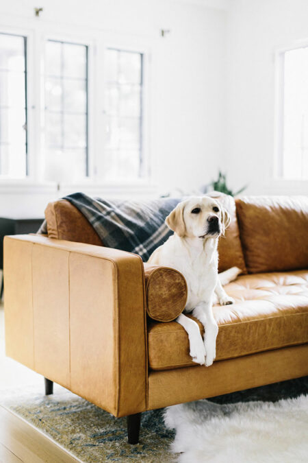 Kate-Arends_witanddelight_home_19