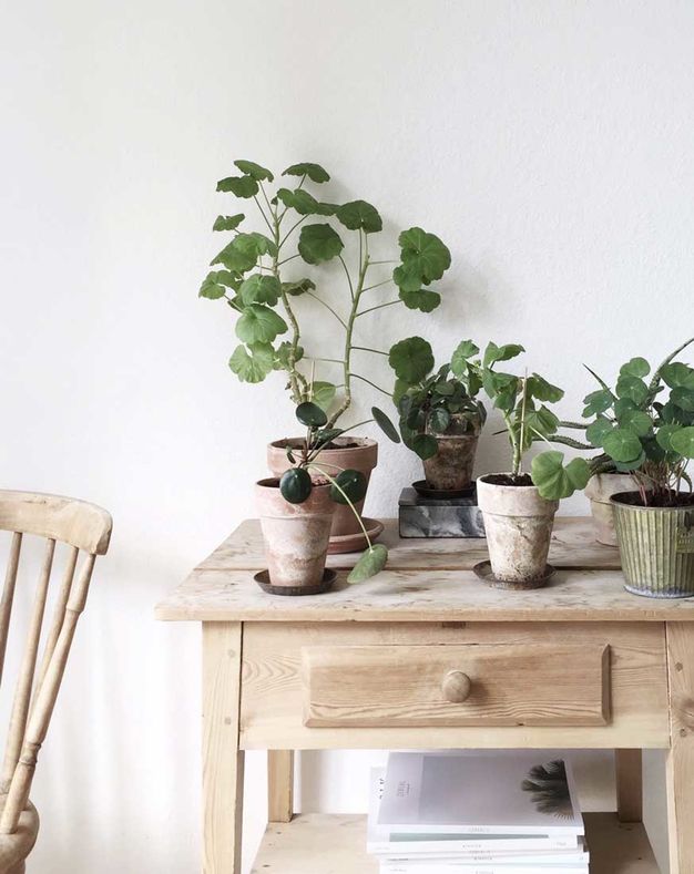 Meuble en bois brut, ambiance nature || Meubles en bois brut et pots de fleur