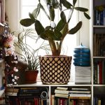 Influences hippies pour cet intérieur niché dans le Bronx