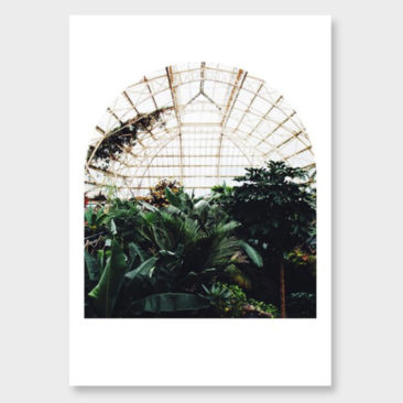 Affiches botaniques design - Photographies d'Amy Wybrow, Flora conspicua no1 hero