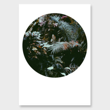 Affiches botaniques design - Photographies d'Amy Wybrow, Flora conspicua no2 hero