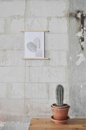 Affiches design botaniques - Studio Joop par Anniek-Beije Plant Series