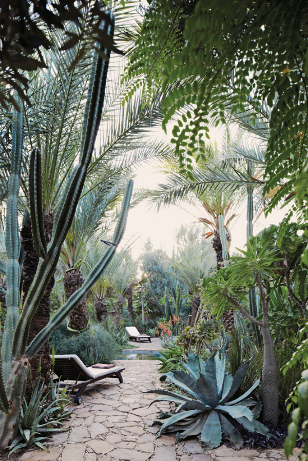 Autour de la piscine_Dar al Hossoun-Taroudant_5