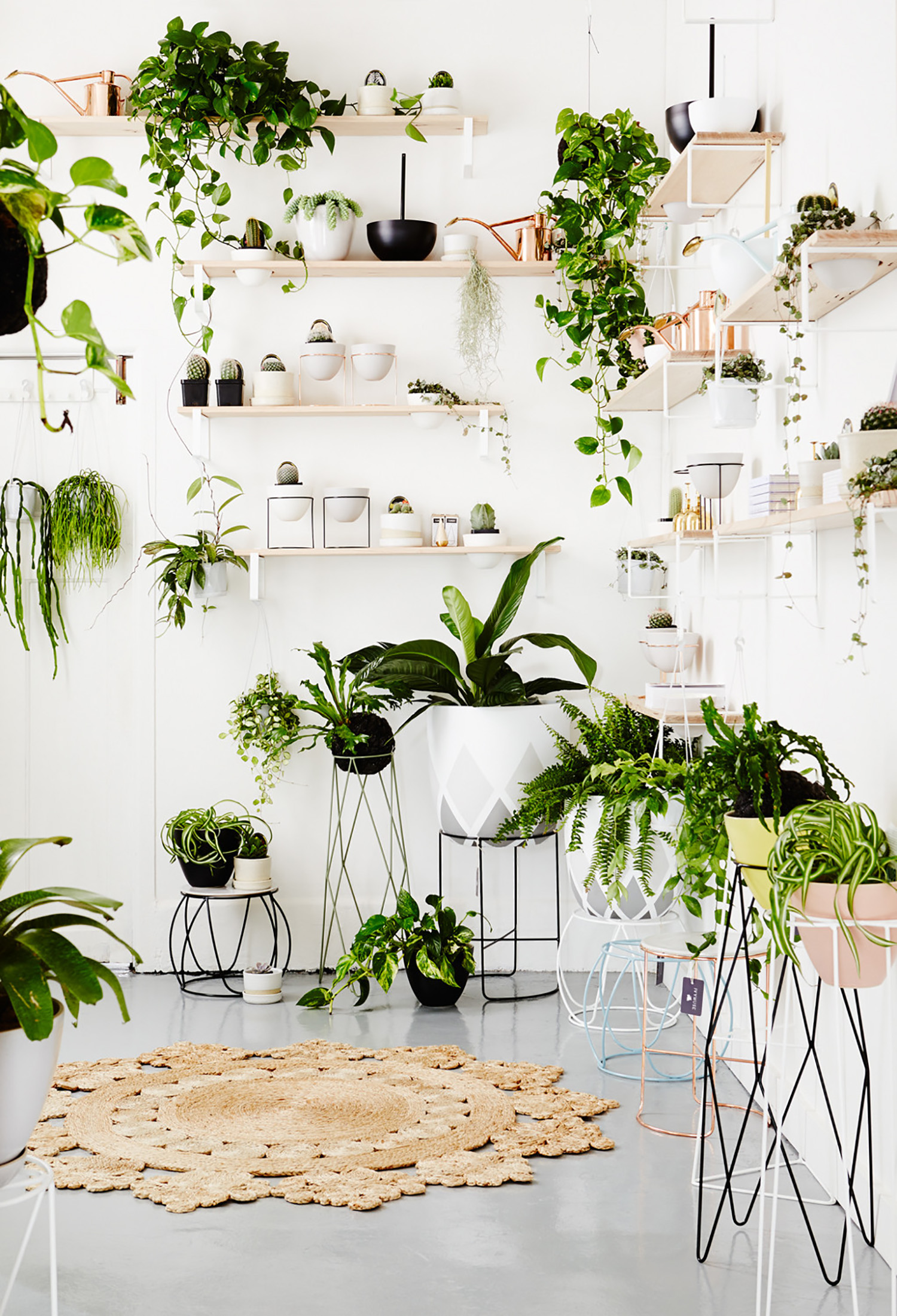 Déco blanche et plantes vertes - La boutique Ivy Muse