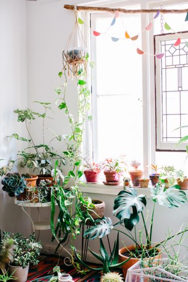 Déco blanche et plantes vertes - L'intérieur de Nicole Valentine Don stylée par Luisa Brimble