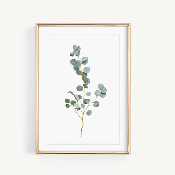 Affiche Eucalyptus aquarelle - Lemon Scarlet Galerie sur Etsy