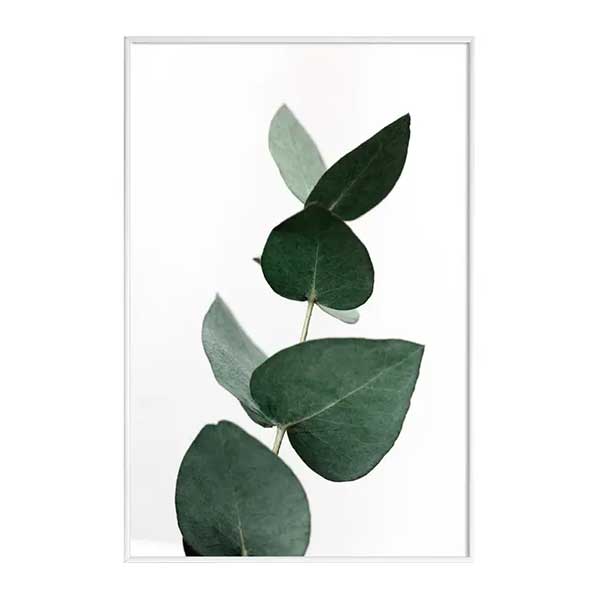 Poster Eucalyptus 4 - Junique