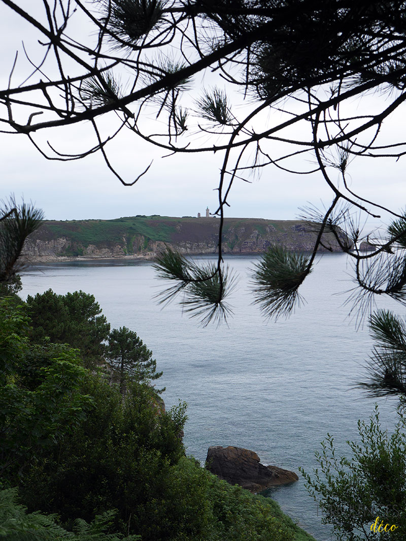 Carte postale du cap Frehel, été 2016 - Turbulences Déco