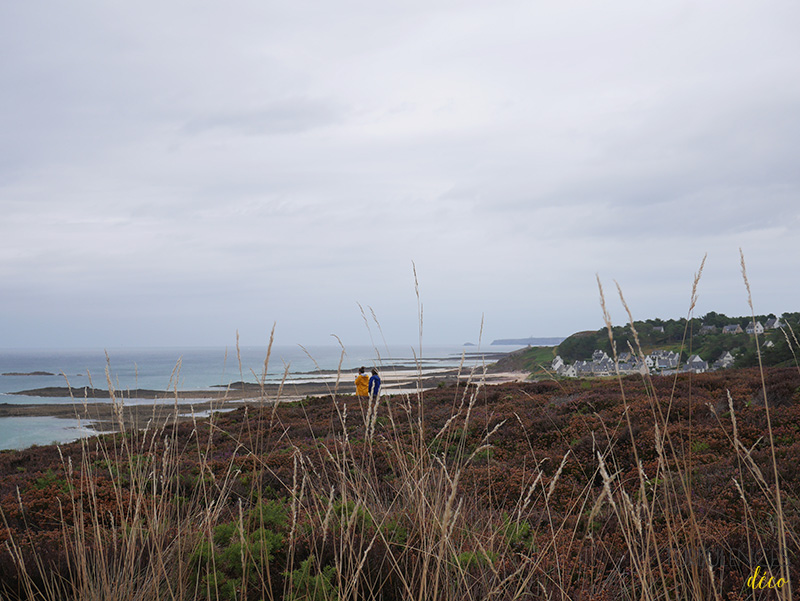 Carte postale du cap Frehel, été 2016 - Turbulences Déco