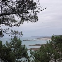 Cap-Frehe_ete2016_turbulences-deco_20