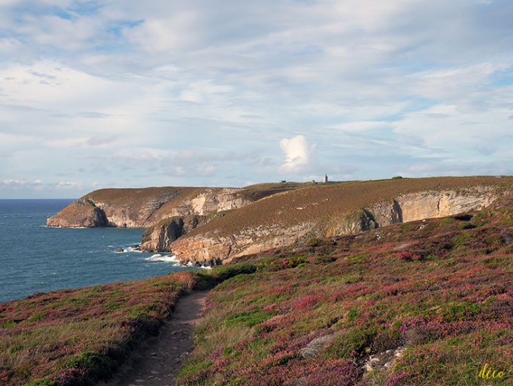 Carte postale du cap Frehel, été 2016 - Turbulences Déco