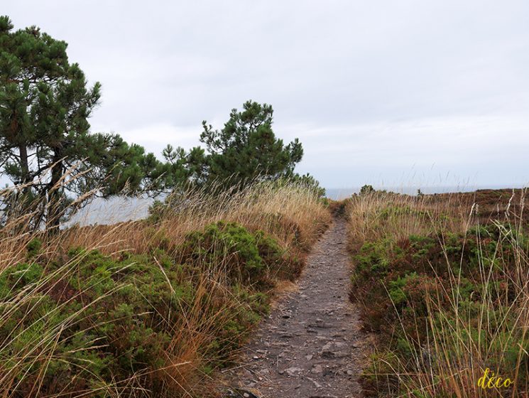 Carte postale du cap Frehel, été 2016 - Turbulences Déco