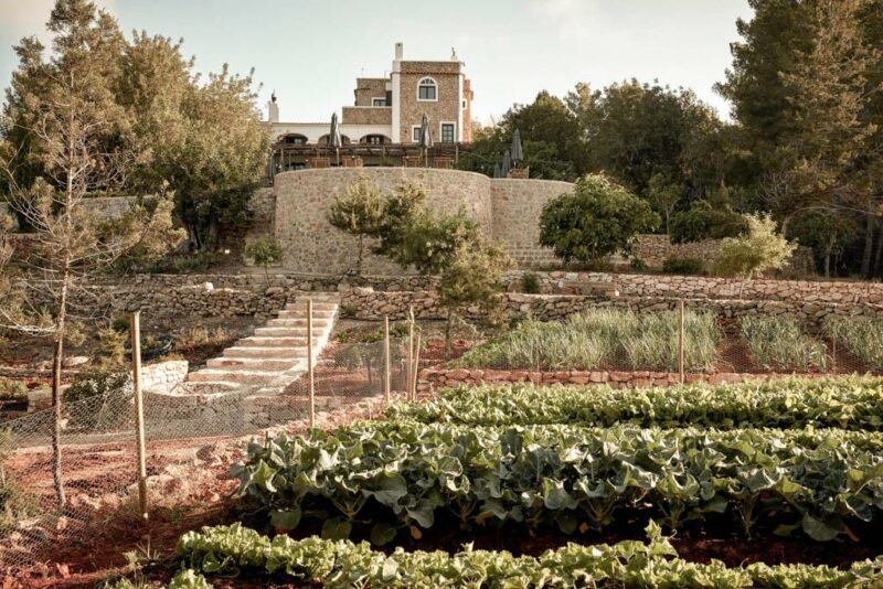 La Grandja à Ibiza, éloge de la pénombre La Grandja à Ibiza, éloge de la pénombre