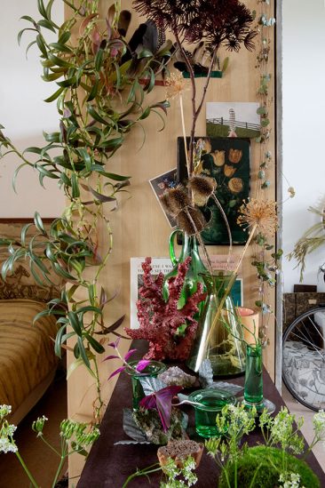 Le petit appartement verdoyant de Siriane à Amsterdam
