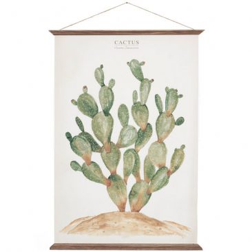 arminho_affiche-cactus