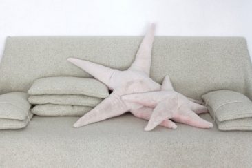 bigstuffed_coussin-etoile-de-mer