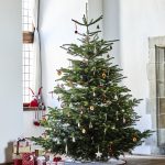 Le sapin de Noël est-il écolo ? Quelle alternative ?
