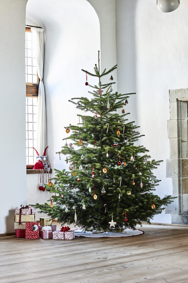 Le sapin de Noël est-il écolo ? Quelle alternative ?