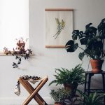 Aller savoir pourquoi on aime autant les plantes d’intérieur