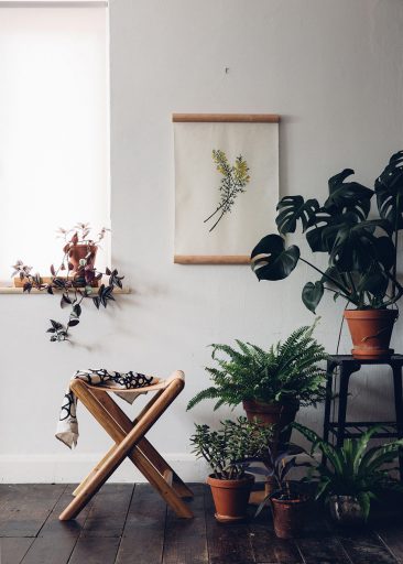 Aller savoir pourquoi on aime autant les plantes d'intérieur || via thefuturekept.com