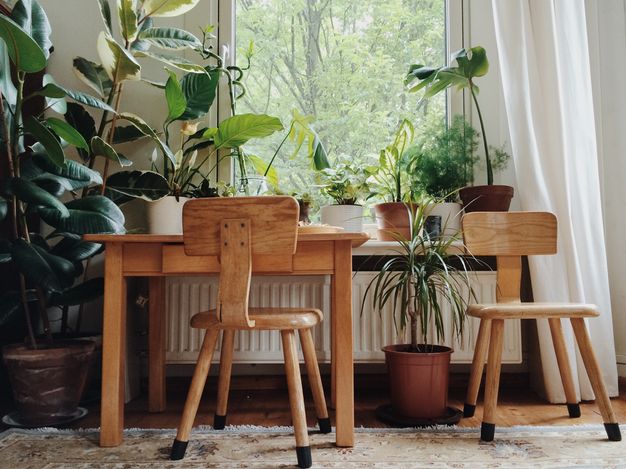 Aller savoir pourquoi on aime autant les plantes d'intérieur || L'intérieur de Janneke Luusema