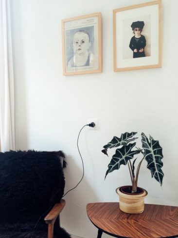 Aller savoir pourquoi on aime autant les plantes d'intérieur || L'intérieur de Janneke Luusema