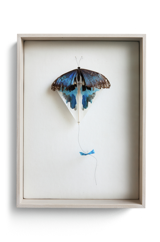 "Spot de kite Blue" par Anne Ten Donkelaar