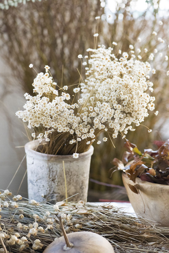 Décorez avec des bouquets de fleurs séchés | Atelier de Couronnes par Design Lovefest