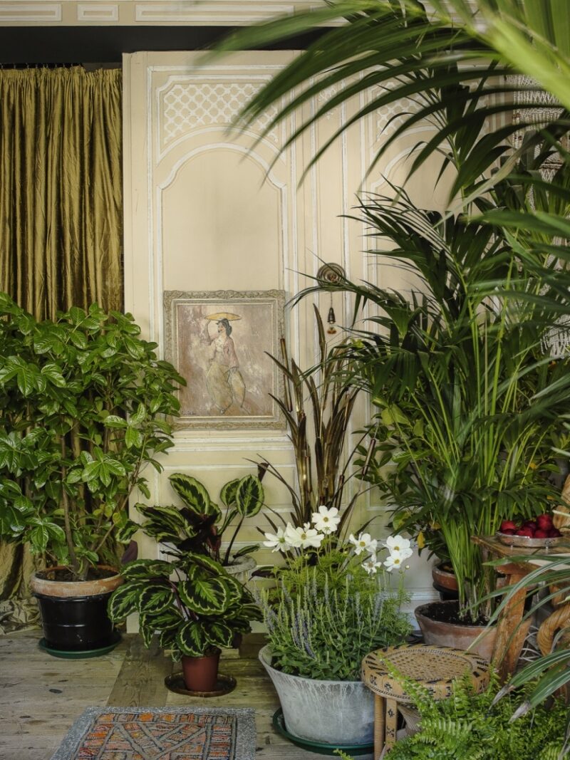 Projet d'aménagement d'une chambre d'hôtes : envie d'une ambiance jardin d'hiver Projet d'aménagement d'une chambre d'hôtes : envie d'une ambiance jardin d'hiver
