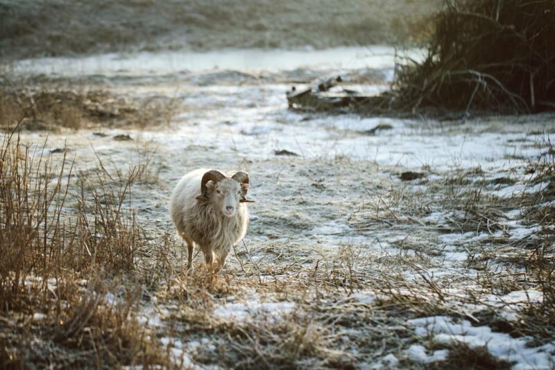 Un décor rustique "wabi sabi" dans la campagne allemande - Reportage via le blog kraut-kopf.de