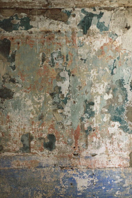 kraut-kopf-blog_manufactum_raus_08