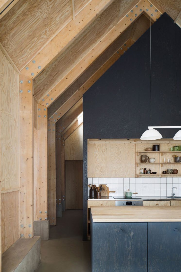 Revêtir ses murs de contreplaqué | "House for mother" par l'architecte Förstberg Ling