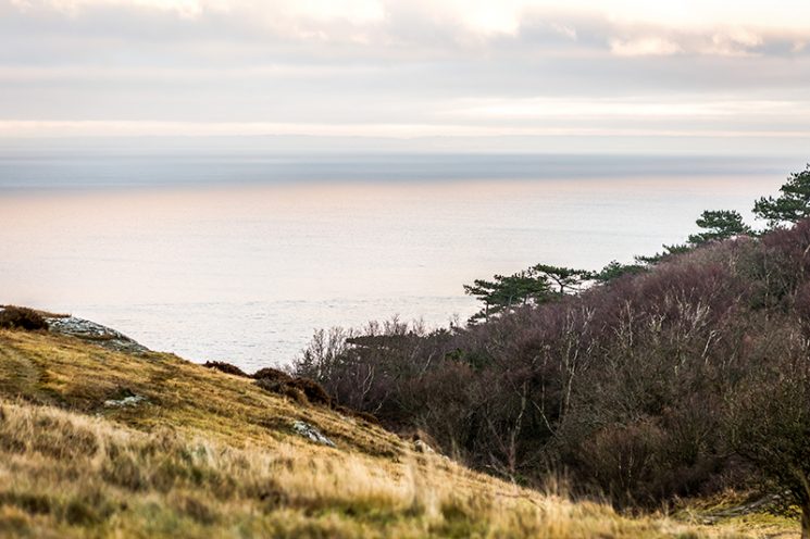 Un refuge en Suède entre mer et forêt en vente sur le site Per Jansson