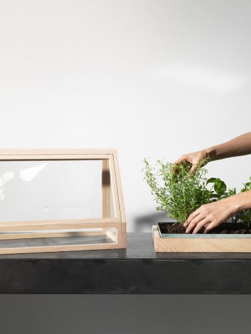 Serre miniature Greenhouse éditée par House Stockholm - Design Atelier 2+