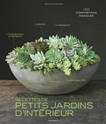 Livre - Recettes de Petits jardins d'intérieur