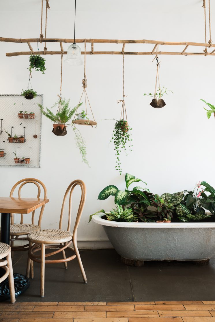 L'invasion des plantes vertes dans la décoration d'intérieur | Restaurant à Saïgon