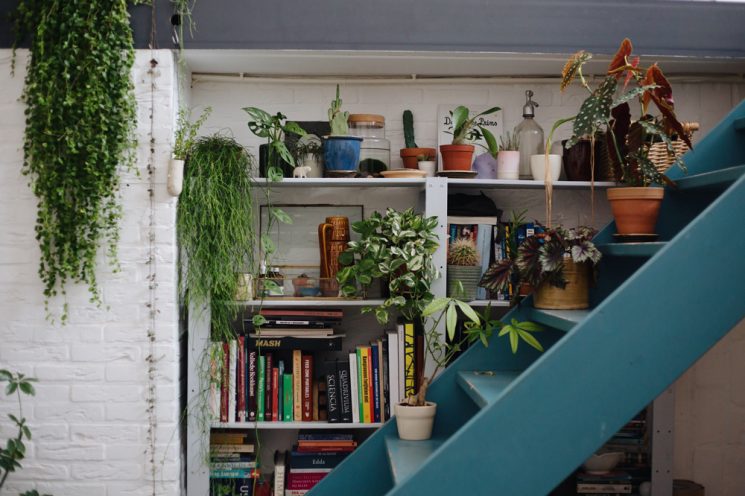 L'invasion des plantes vertes | Loft atelier de Rena du studio Hear Hear