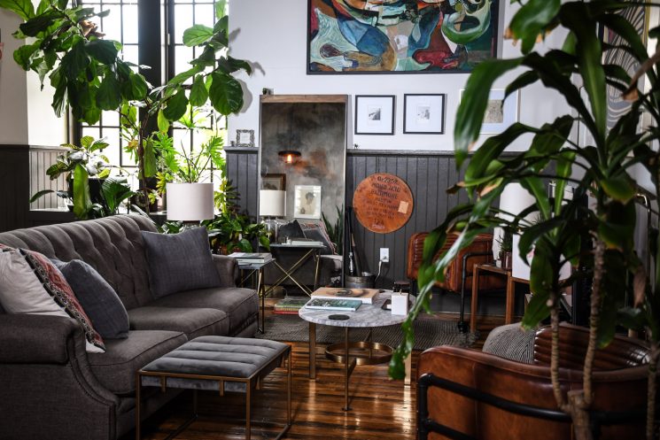 L'invasion des plantes vertes en décoration | Un loft à Baltimore