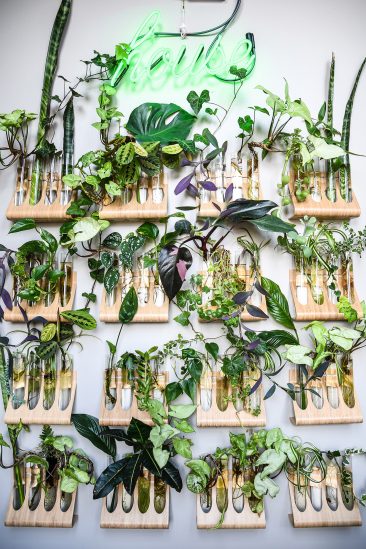 L'invasion des plantes vertes en décoration | Un loft à Baltimore