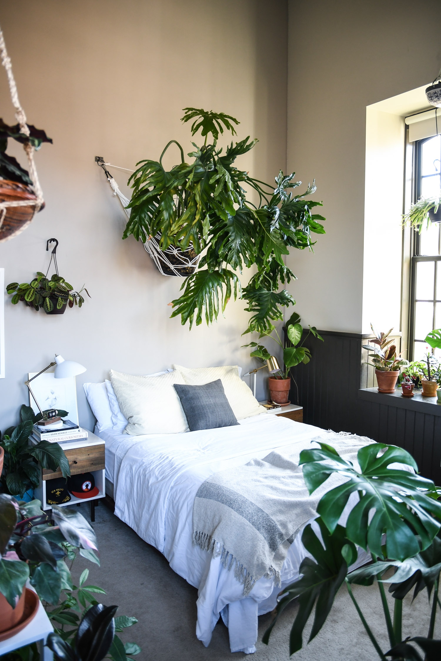 Купить комнат цветы. Комната с растениями. Растения в интерьере. Озеленение комнаты. Растения в спальне.