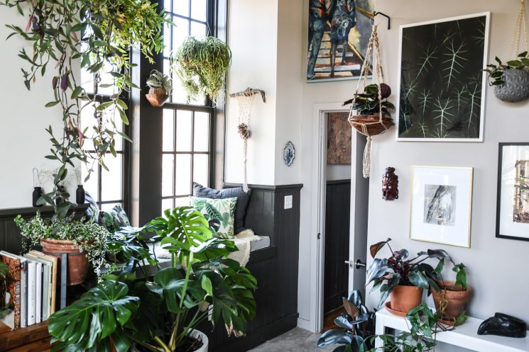 L'invasion des plantes vertes en décoration | Un loft à Baltimore