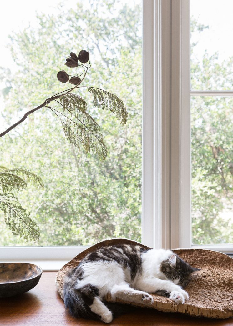 Le bungalow de Momo Suzuki et Alexander Yamaguchi à Passadena || Slow life, slow design en Californie