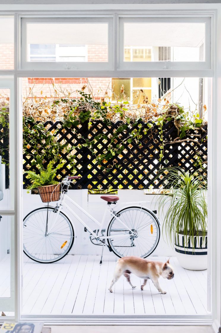 Un été en ville || L'appartement de Steven Reid à Manly, Sydney