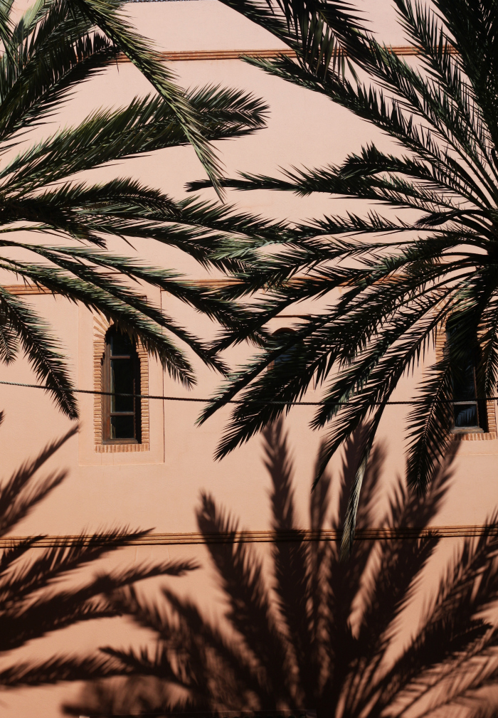 Mur rosé à Marrakech