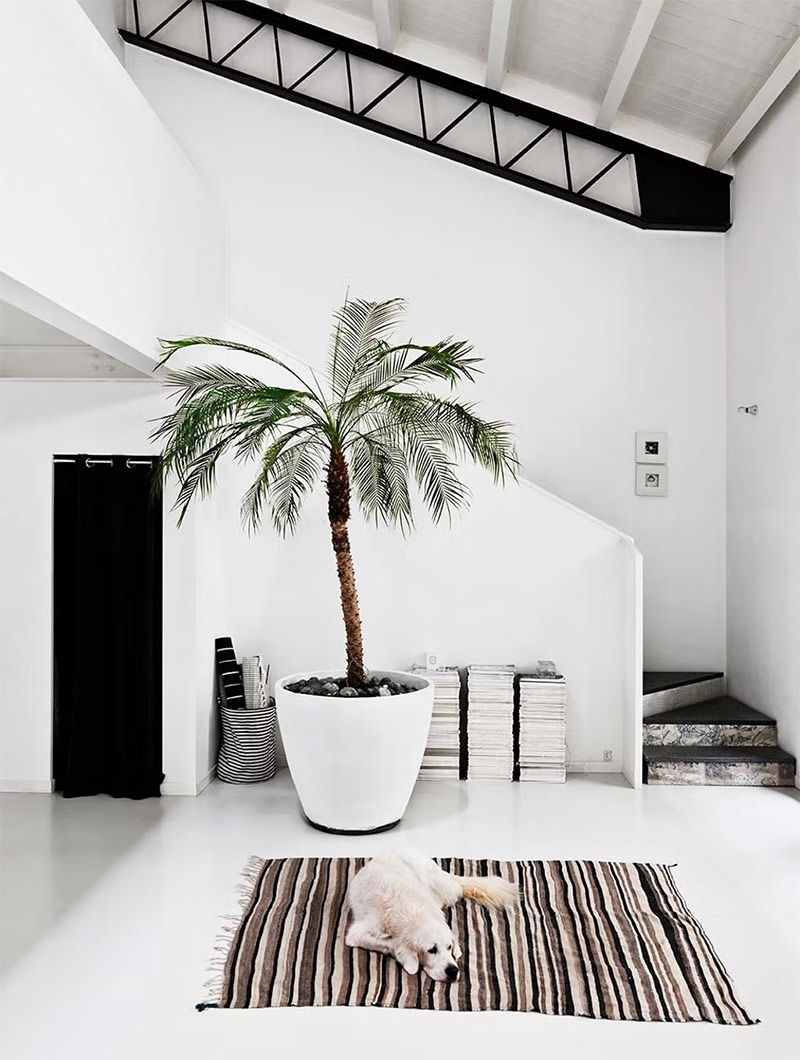 Un loft au style scandinave avec des accents tribaux en noir et blanc