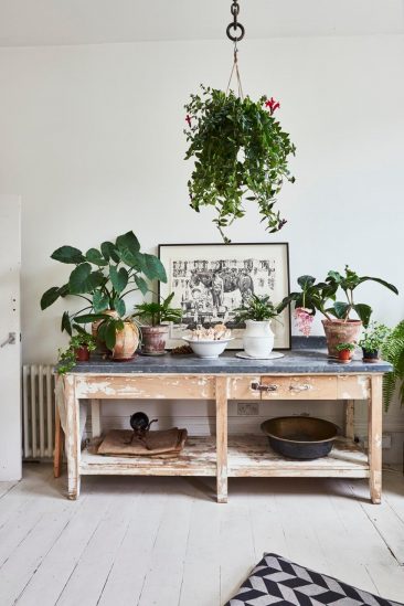 Intérieurs hygge peuplés de plantes - Une maison bohème à Londres