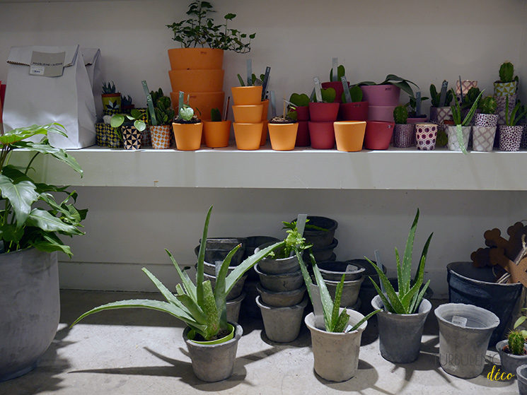 Madeleine et Gustave, une boutique qui donne envie de passer au vert - Paris 10