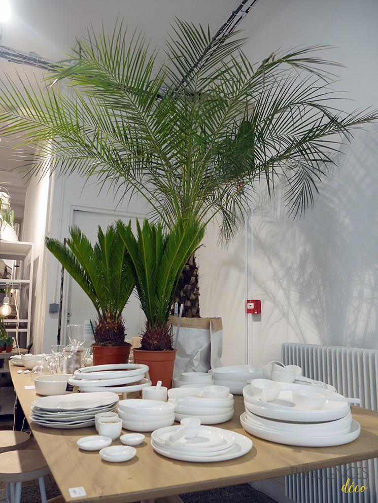 Madeleine et Gustave - Paris 10 Madeleine et Gustave, une boutique qui donne envie de passer au vert - Paris 10