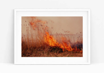 Tirage original Ultrashop - Burning de Li Hui